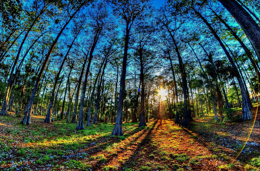 Park «Easterlin Park», reviews and photos, 1000 NW 38th St, Oakland Park, FL 33309, USA