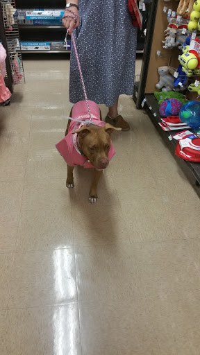 Pet Supply Store «Petco Animal Supplies», reviews and photos, 891 NE D St, Grants Pass, OR 97526, USA