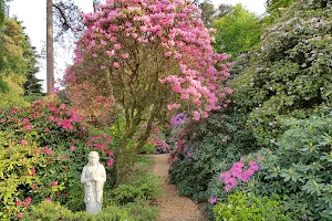 Rhododendronpark Hobbie image