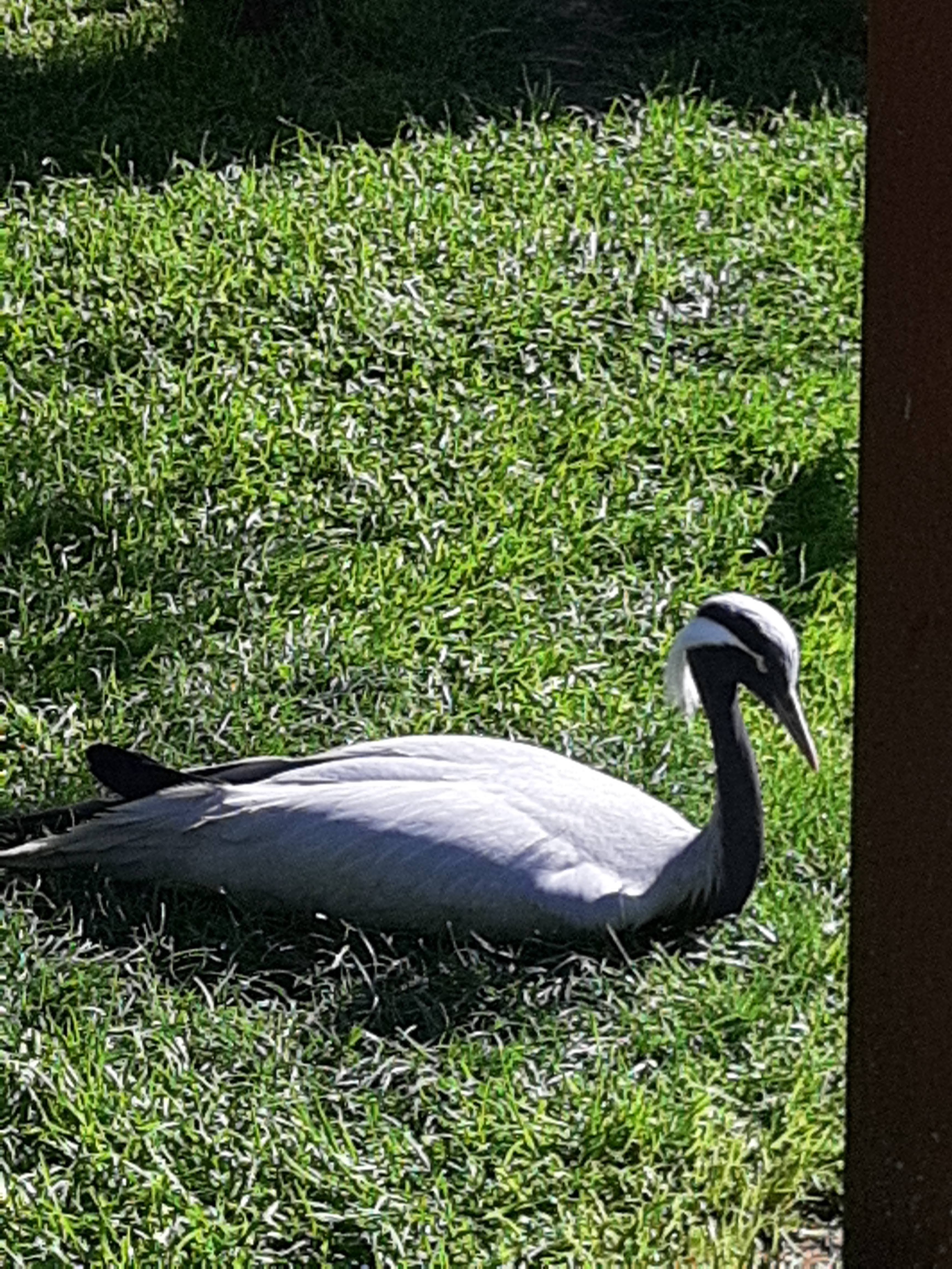 Photo n° 8 de l'avis de Frederic.e fait le 26/04/2022 à 12:50