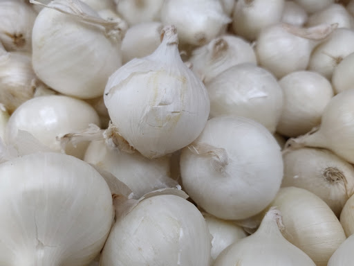 Grocery Store «Arax Market», reviews and photos, 585 Mt Auburn St, Watertown, MA 02472, USA