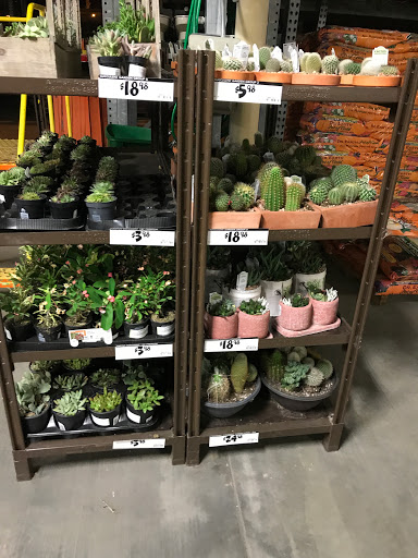 The Home Depot image