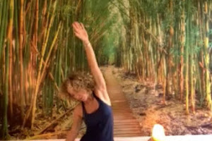 Gemma Deeney Yoga & Wellness AKA Theyogagym,
