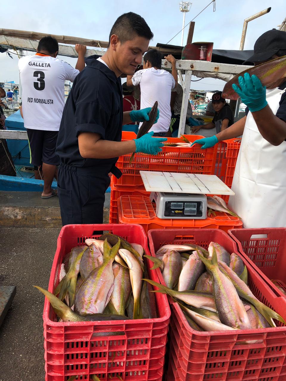 ADR Global Fisheries