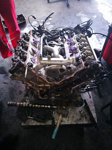Auto Life