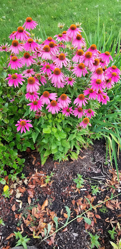 Athletic Field «Sunset Athletic Club», reviews and photos, 13939 NW Cornell Rd, Portland, OR 97229, USA