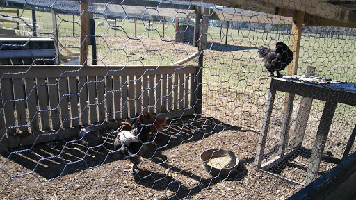 Wedding Venue «Rancho Alegre Farm», reviews and photos, 2225 Givens Rd, Dacula, GA 30019, USA