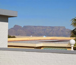 Blue Flamingo Bed & Breakfast photo