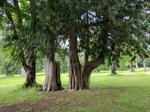 Golf Club «High Cedars Golf Club», reviews and photos, 14604 149th St Ct E, Orting, WA 98360, USA