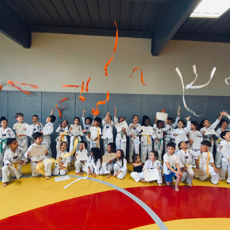 Taekwondo Villeurbanne Academie