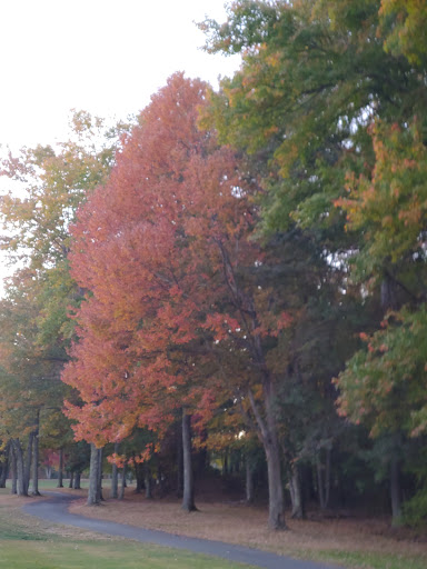 Golf Club «Raceway Golf Club», reviews and photos, 205 E Thompson Rd, Thompson, CT 06277, USA