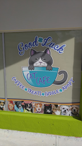 Thrift Store «Boomerangs Thrift Store», reviews and photos, 2365 Wilton Dr, Wilton Manors, FL 33305, USA