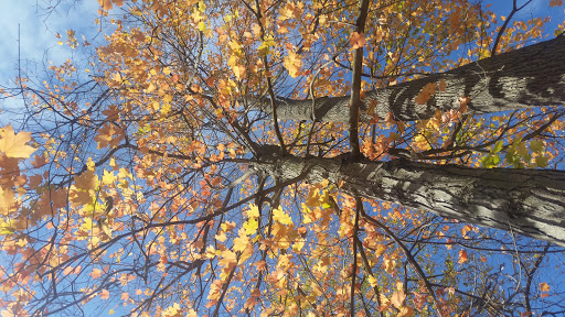 National Park «First State National Historical Park - Peters Rock Parking», reviews and photos, Thompsons Bridge Rd, Wilmington, DE 19803, USA