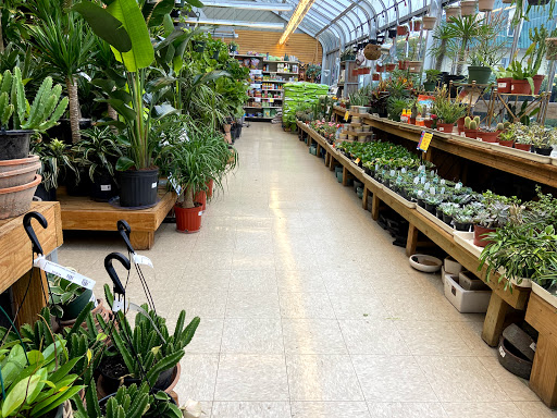 Garden Center «English Gardens», reviews and photos, 6370 Orchard Lake Rd, West Bloomfield Township, MI 48322, USA