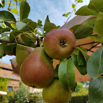Photo n°4 de l'avis de Christina.e fait le 30/09/2023 à 14:56 sur le  Laundry von Ribbeck à Nauen