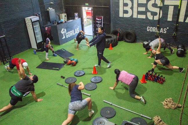 GORILAS - Gimnasio