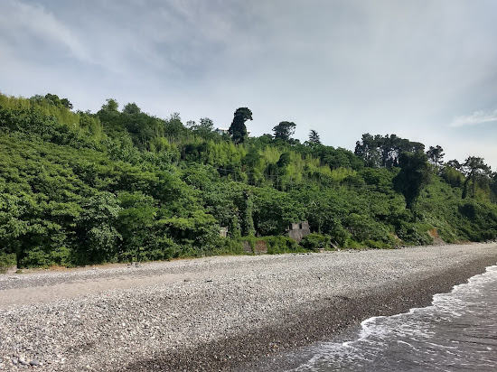 Tsikhisdziri beach II