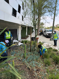 Gothic Landscape - Maintenance - Photo 9 - Car repair in Garden Grove, CA, Anaheim