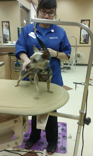 Pet Supply Store «PetSmart», reviews and photos, 278 New Britain Ave, Plainville, CT 06062, USA