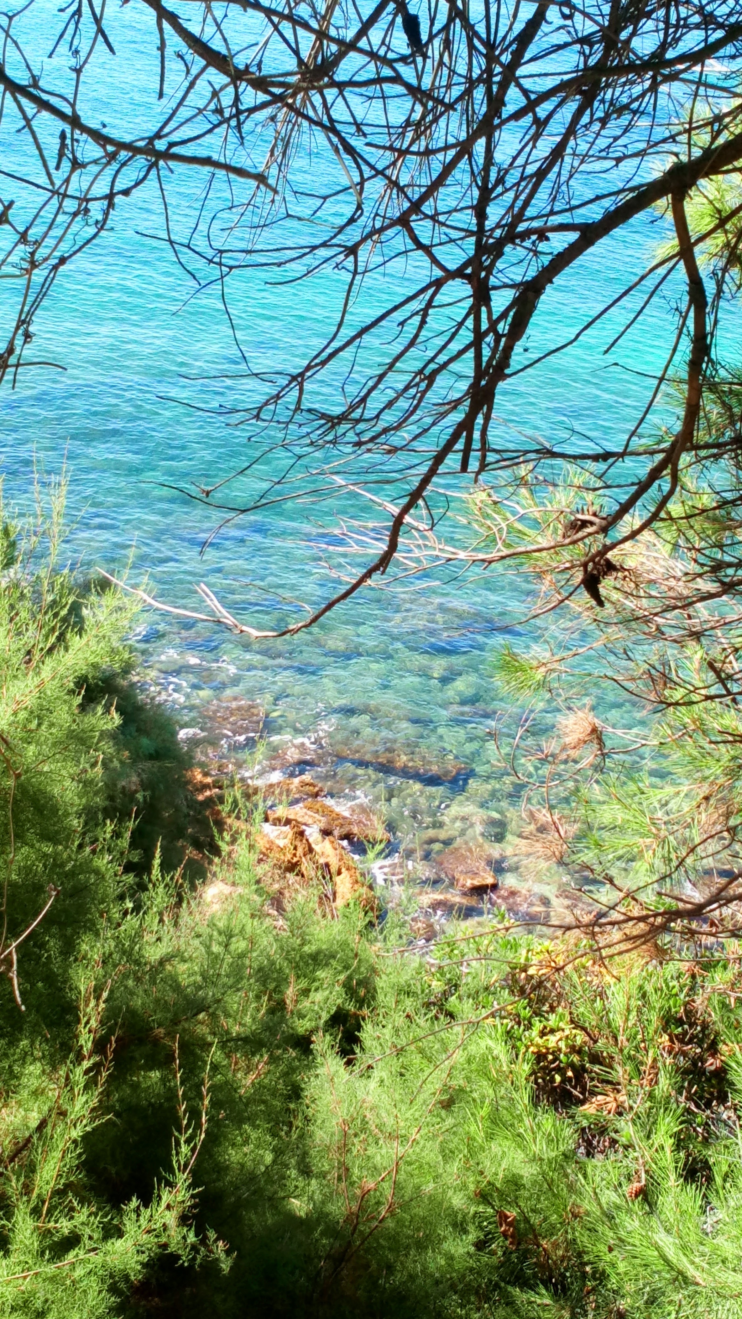 Photo n° 1 de l'avis de Laetitia.a fait le 17/08/2020 à 13:47