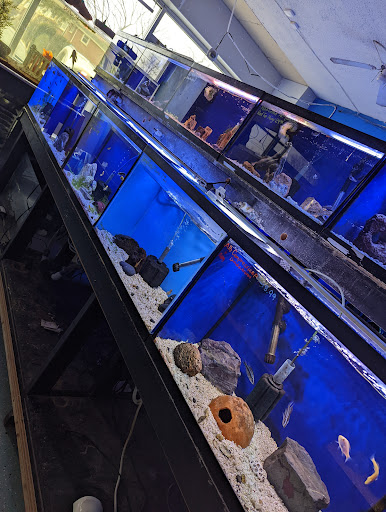 Pet Store «Coral Reef Pet Center», reviews and photos, 7723 W Lawrence Ave, Norridge, IL 60706, USA