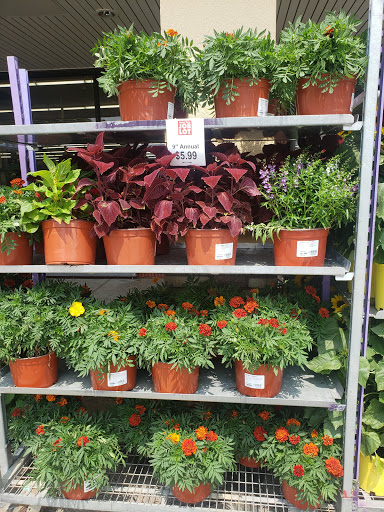 Discount Store «Ocean State Job Lot», reviews and photos, 230 E Main St, Marlborough, MA 01752, USA