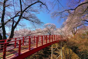 Kasuga Park image