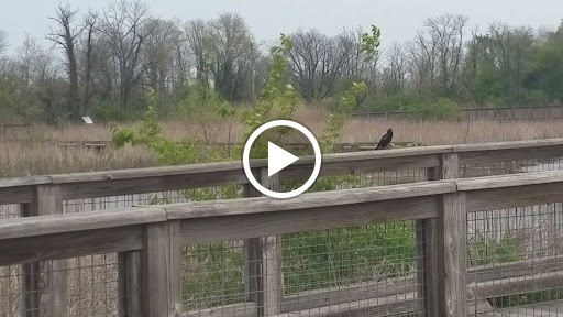 Nature Preserve «DuPont Environmental Education Center of Delaware Nature Society», reviews and photos, 1400 Delmarva Ln, Wilmington, DE 19801, USA
