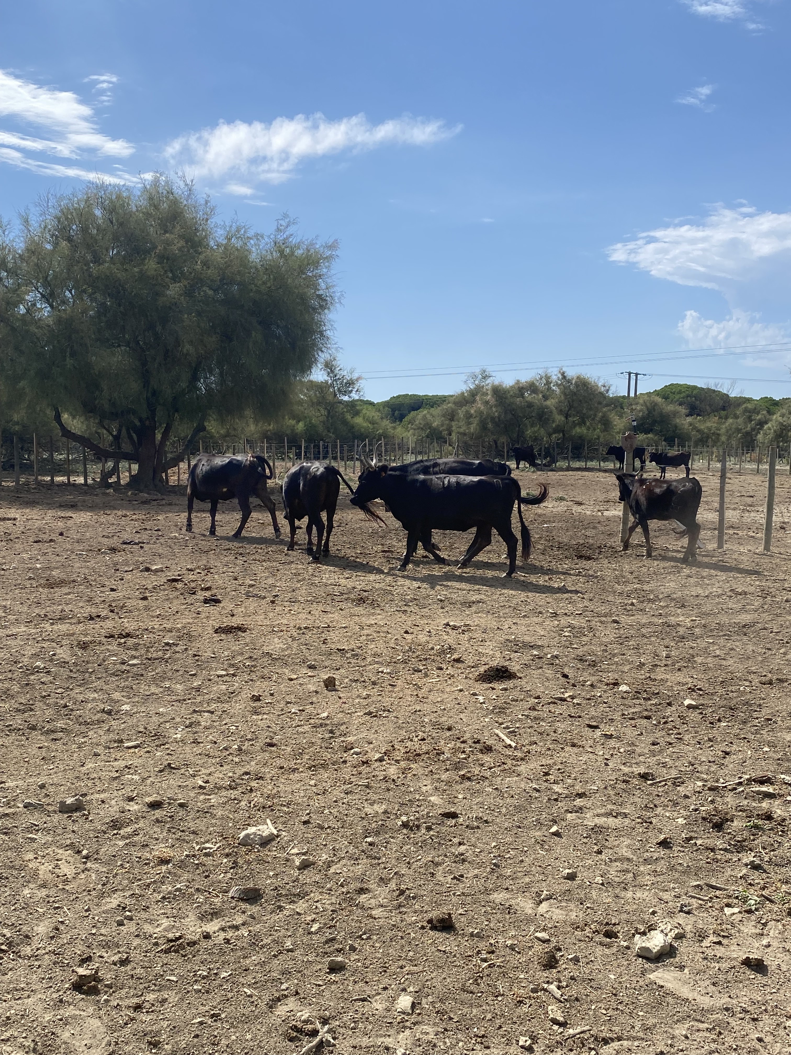 Photo n° 2 de l'avis de Sylvain.a fait le 15/08/2023 à 17:51