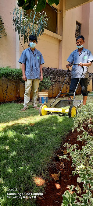 Google Maps image 33