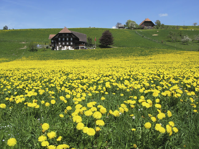 Obere Hauptgasse 3, 3600 Thun, Schweiz