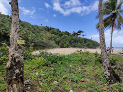 Yara beach'in fotoğrafı geniş bir kıyı şeridi ile birlikte