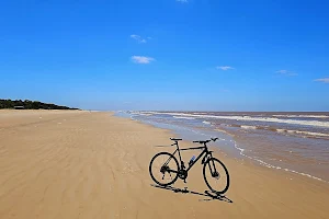 Playa de Carrasco image