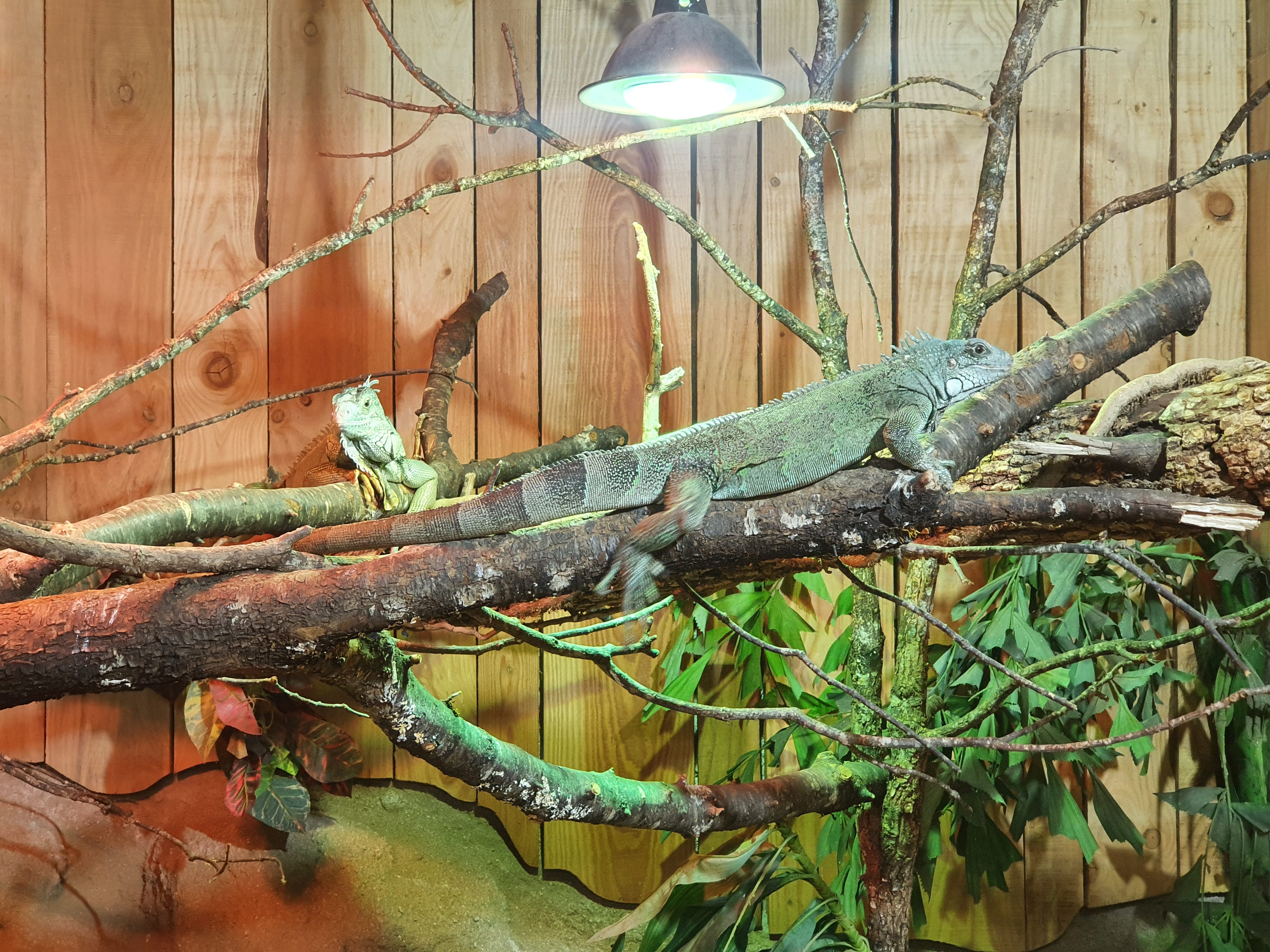 Photo n° 3 de l'avis de Alc. fait le 14/05/2022 à 10:09