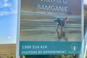Bamganie Pets Cremation Service image