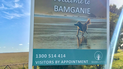Bamganie Pets Cremation Service