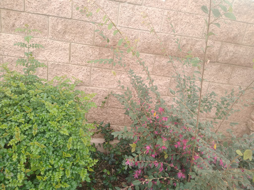 Florist «Secret Garden Florist», reviews and photos, 6076 Lincoln Ave, Cypress, CA 90630, USA