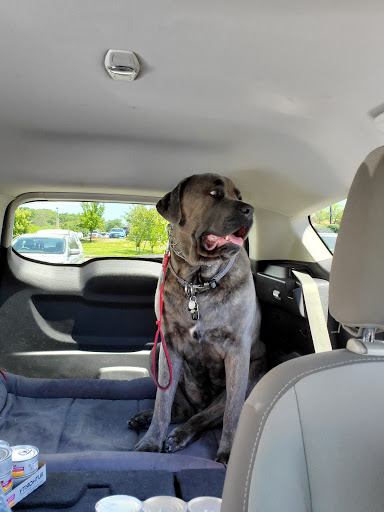 Pet Supply Store «PetSmart», reviews and photos, 156 Old Little Britain Rd, Newburgh, NY 12550, USA