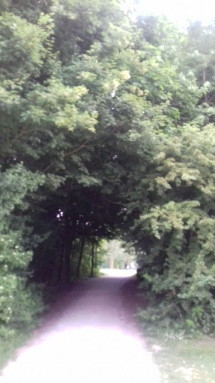 Photo n° 3 de l'avis de NÉLIA.H fait le 15/07/2017 à 20:27