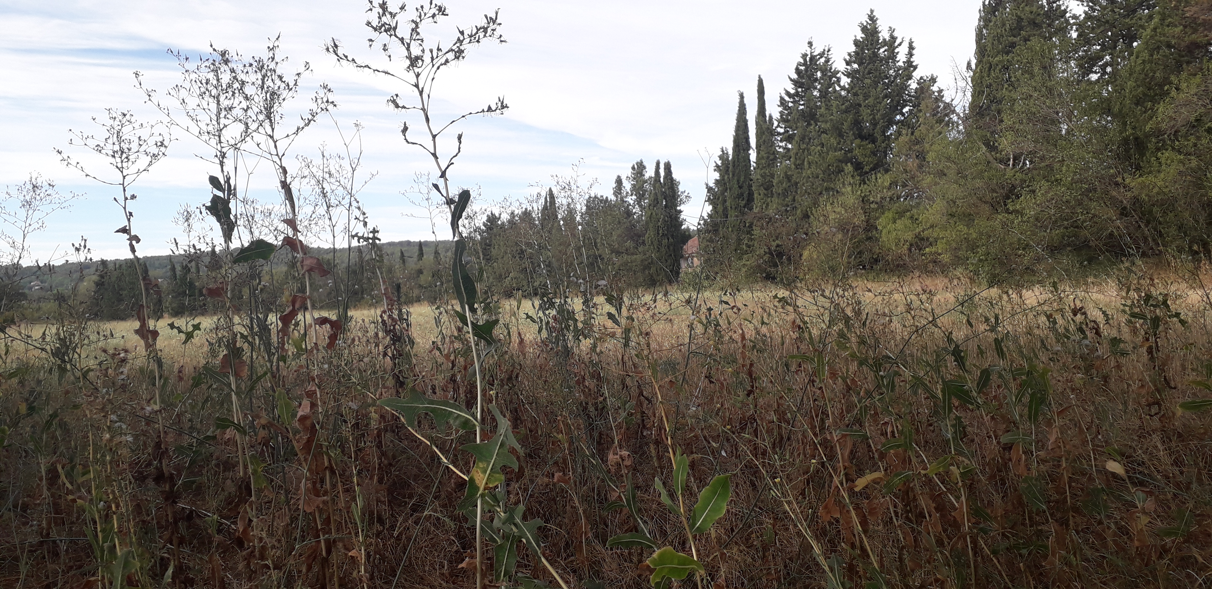 Photo n° 5 de l'avis de Nisajo.o fait le 19/08/2020 à 20:41
