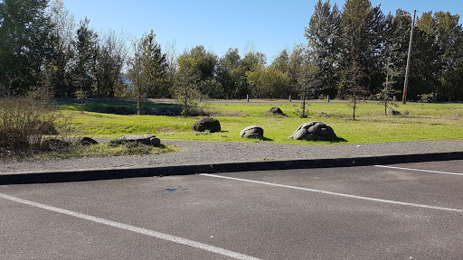 Nature Preserve «Smith and Bybee Wetlands Natural Area», reviews and photos, 5300 N Marine Dr, Portland, OR 97203, USA