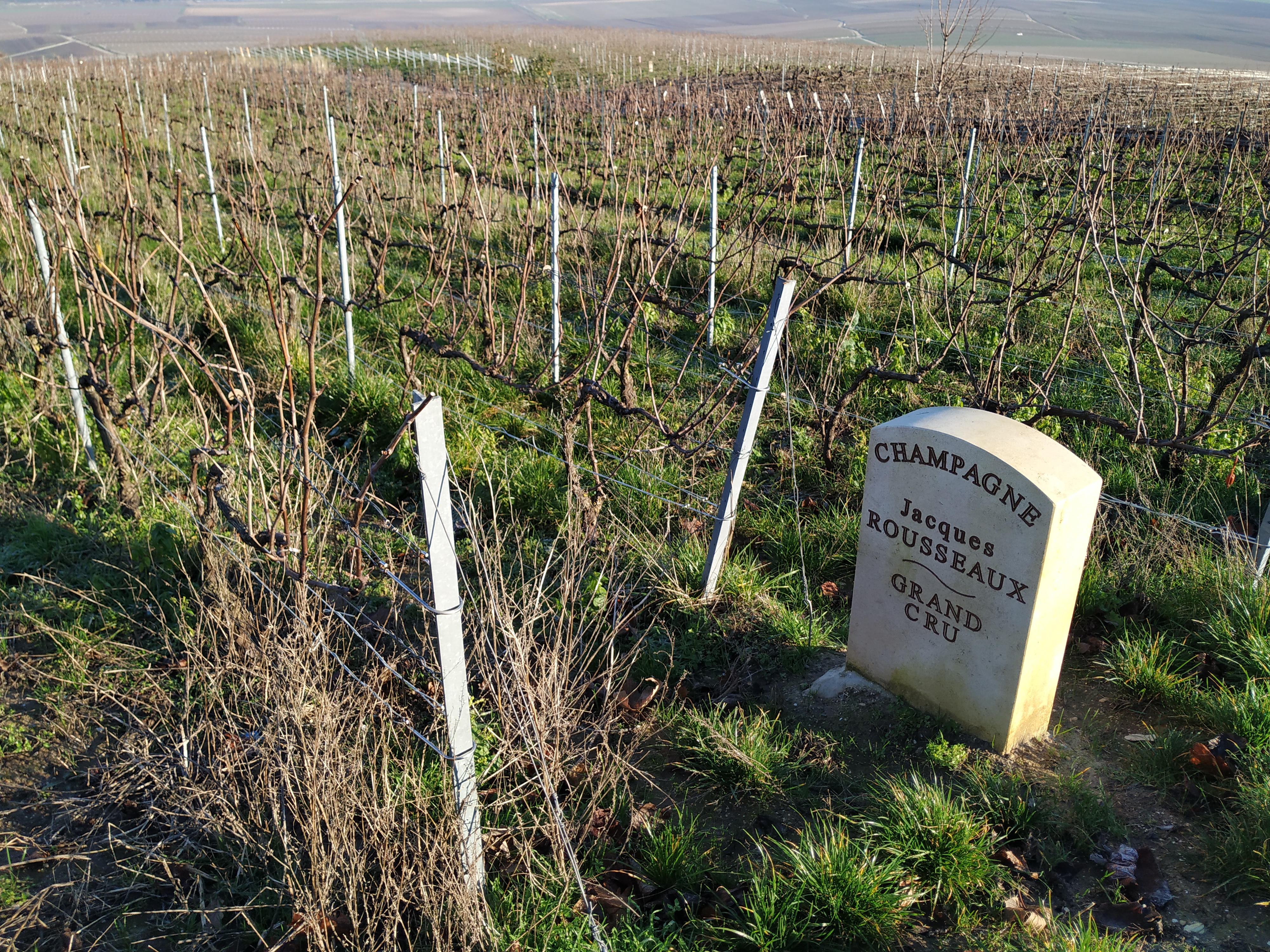 Photo n° 3 de l'avis de Olivier.A fait le 15/01/2020 à 08:43