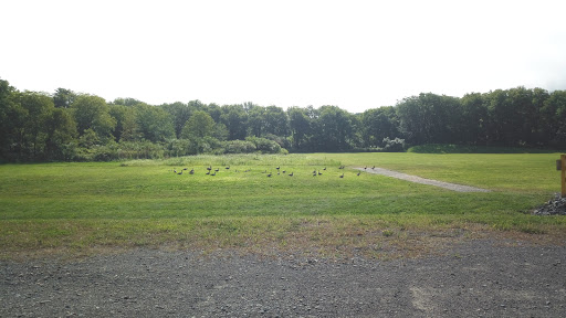 Casino «Tioga Downs Casino», reviews and photos, 2384 W River Rd, Nichols, NY 13812, USA