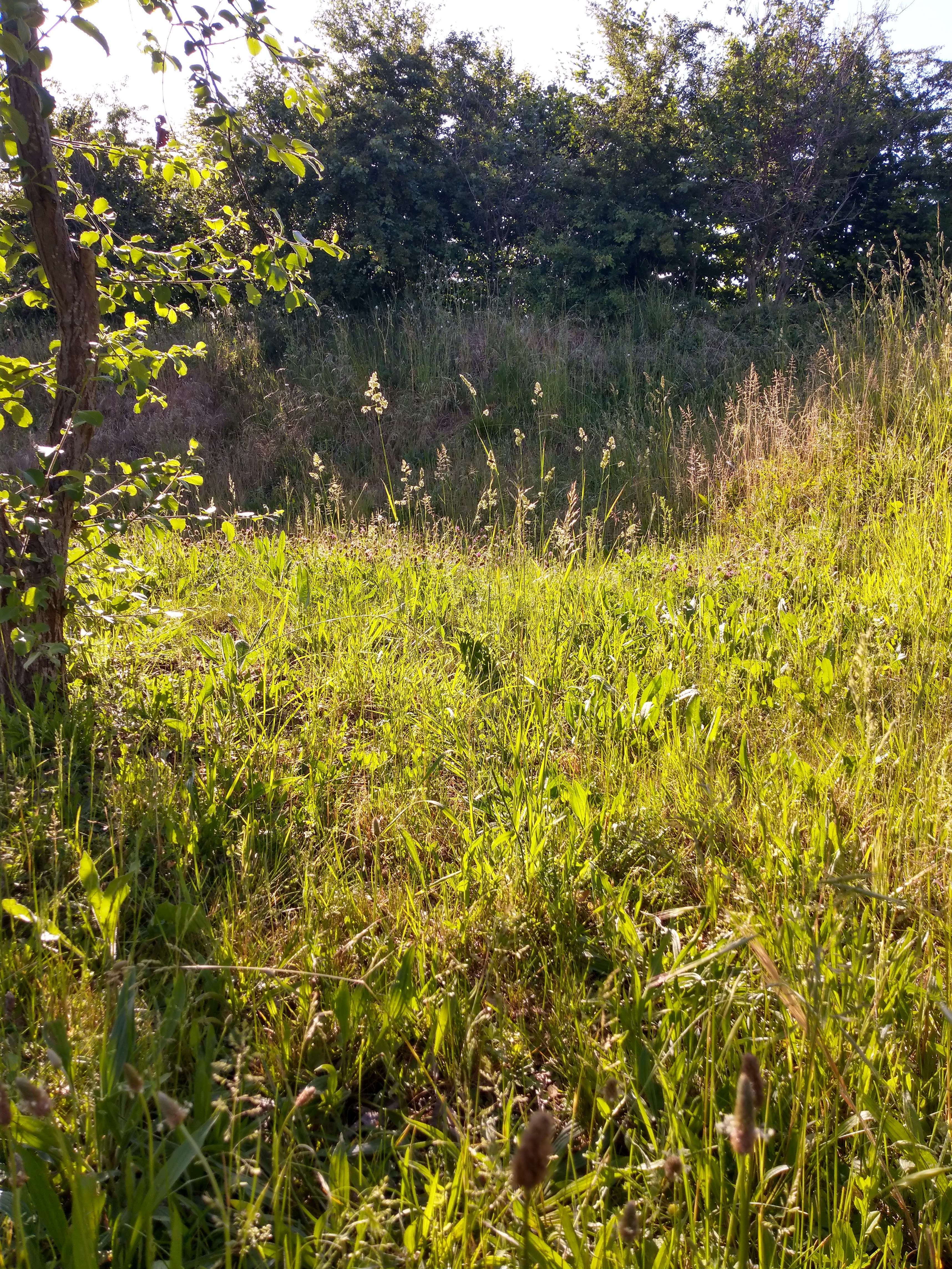 Photo n° 1 de l'avis de cecile.G fait le 28/05/2022 à 18:38