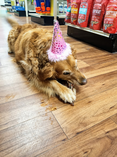 Pet Supply Store «Pet Supermarket», reviews and photos, 1040 Palm Coast Pkwy NW, Palm Coast, FL 32137, USA