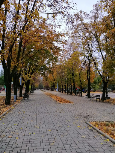 Park Sokil