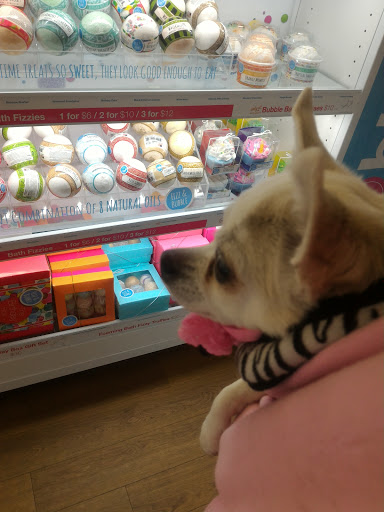 Hair Salon «Ulta Beauty», reviews and photos, 9651 Colerain Ave, Cincinnati, OH 45251, USA