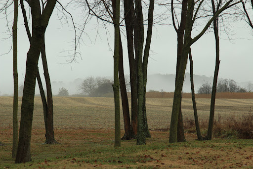 Hotel «Historic Kent Manor Inn», reviews and photos, 500 Kent Manor Dr, Stevensville, MD 21666, USA