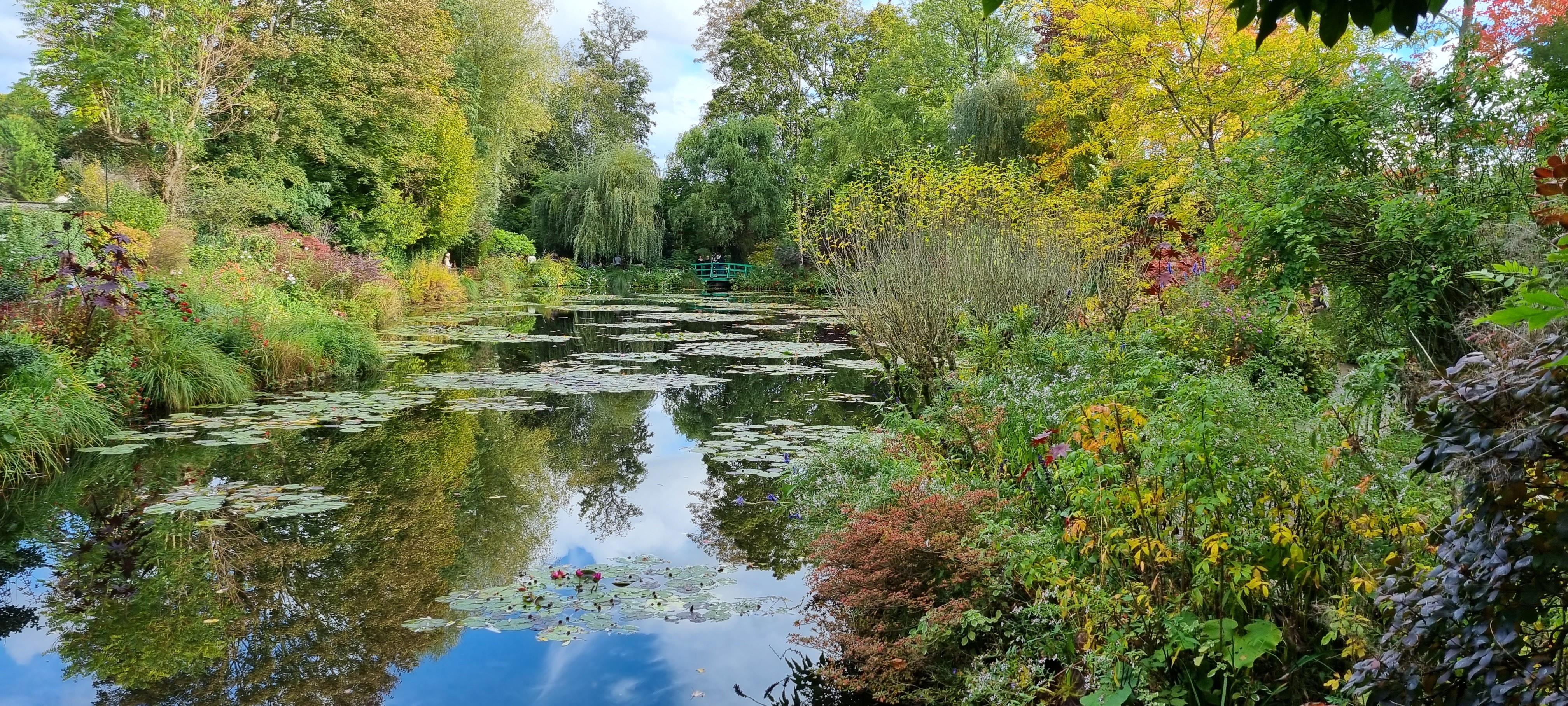 Photo n° 9 de l'avis de lemagicien40. fait le 03/11/2023 à 07:28