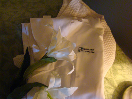 Hair Salon «Coldwater Salon & Day Spa», reviews and photos, 2530 Manitou Rd, Rochester, NY 14624, USA